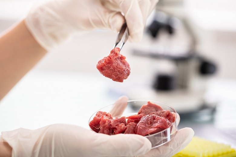 В ЮАР начали производить мясо в лаборатории